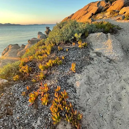Yucca Apartamento Olbia