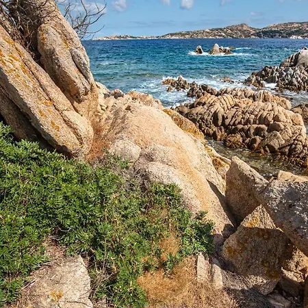 Yucca Apartamento Olbia